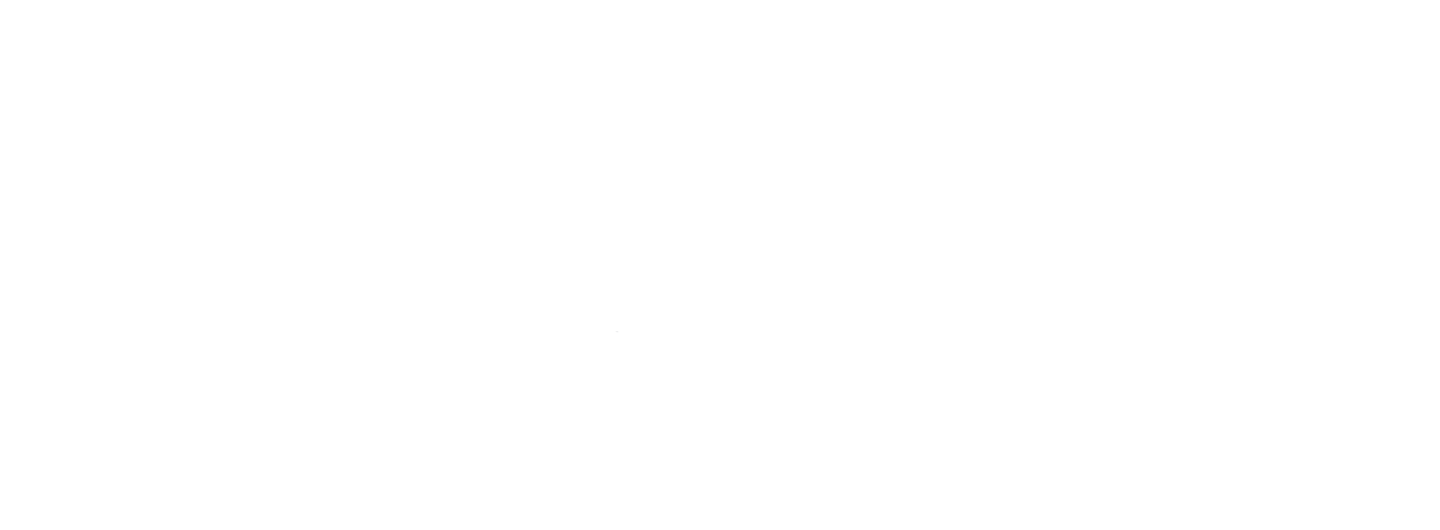 brand Wilfa logo